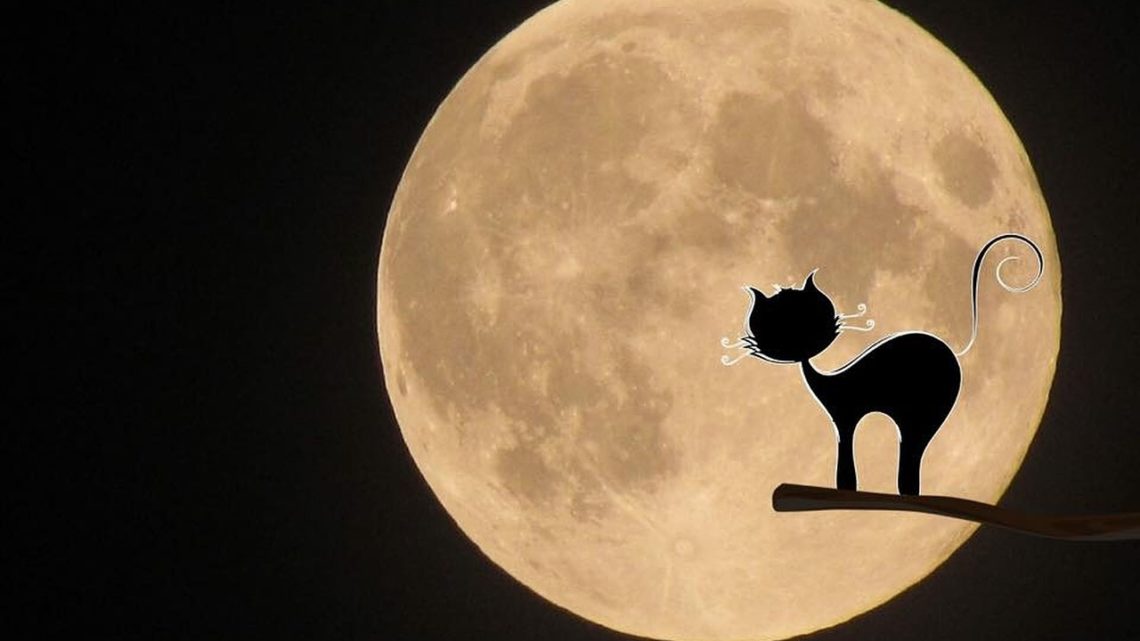 История о кошке, которая от нечисти защищала История о кошке, которая от нечисти защищала