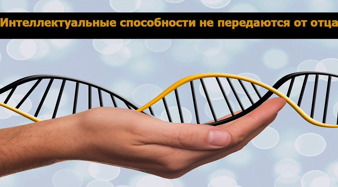 Удивительные факты про генетику Удивительные факты про генетику